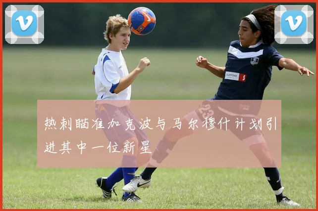 热刺瞄准加克波与马尔穆什计划引进其中一位新星