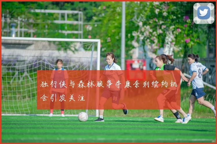 独行侠与森林狼争夺康奈利续约机会引发关注